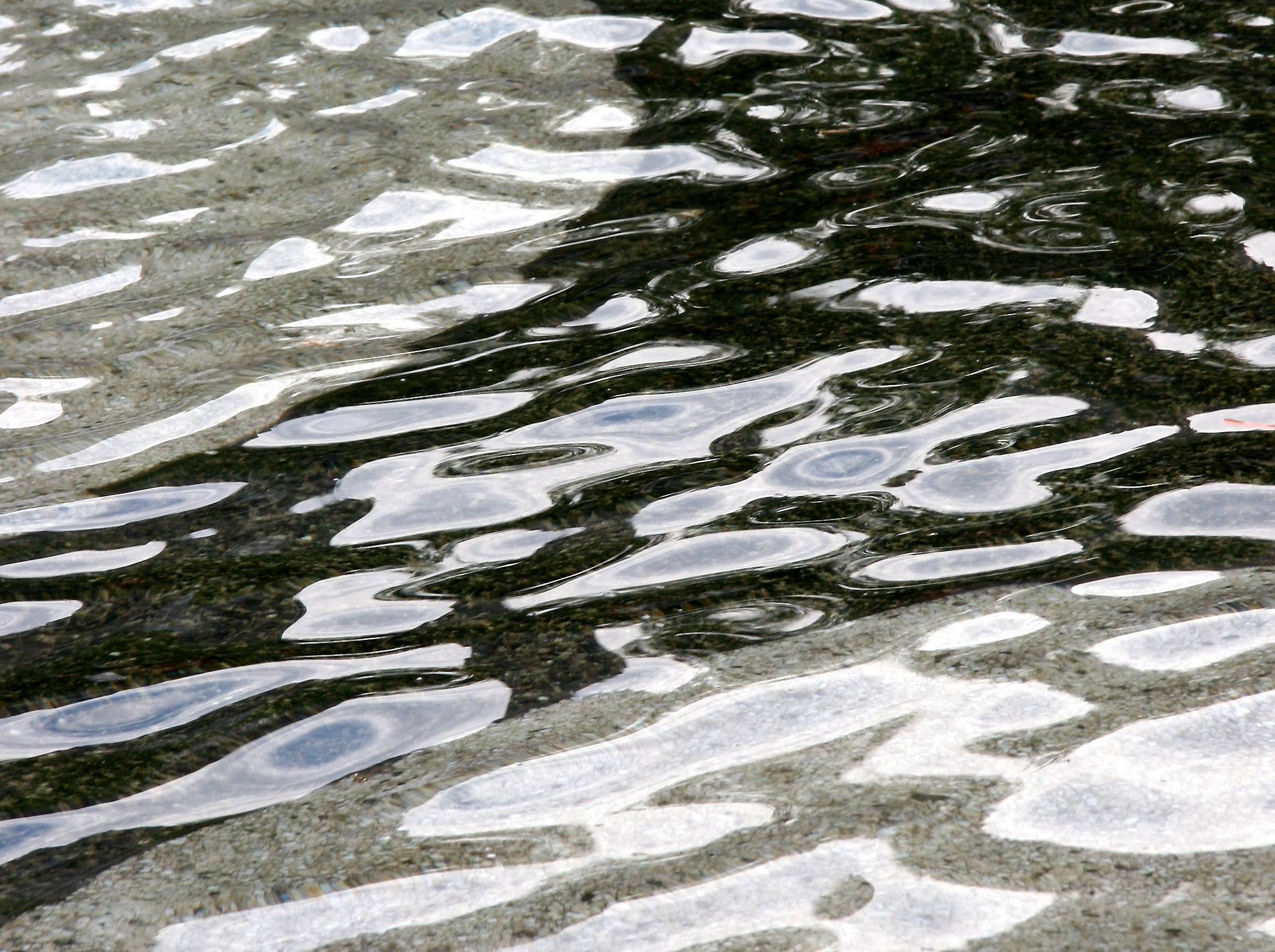 Fountain Pool Reflections