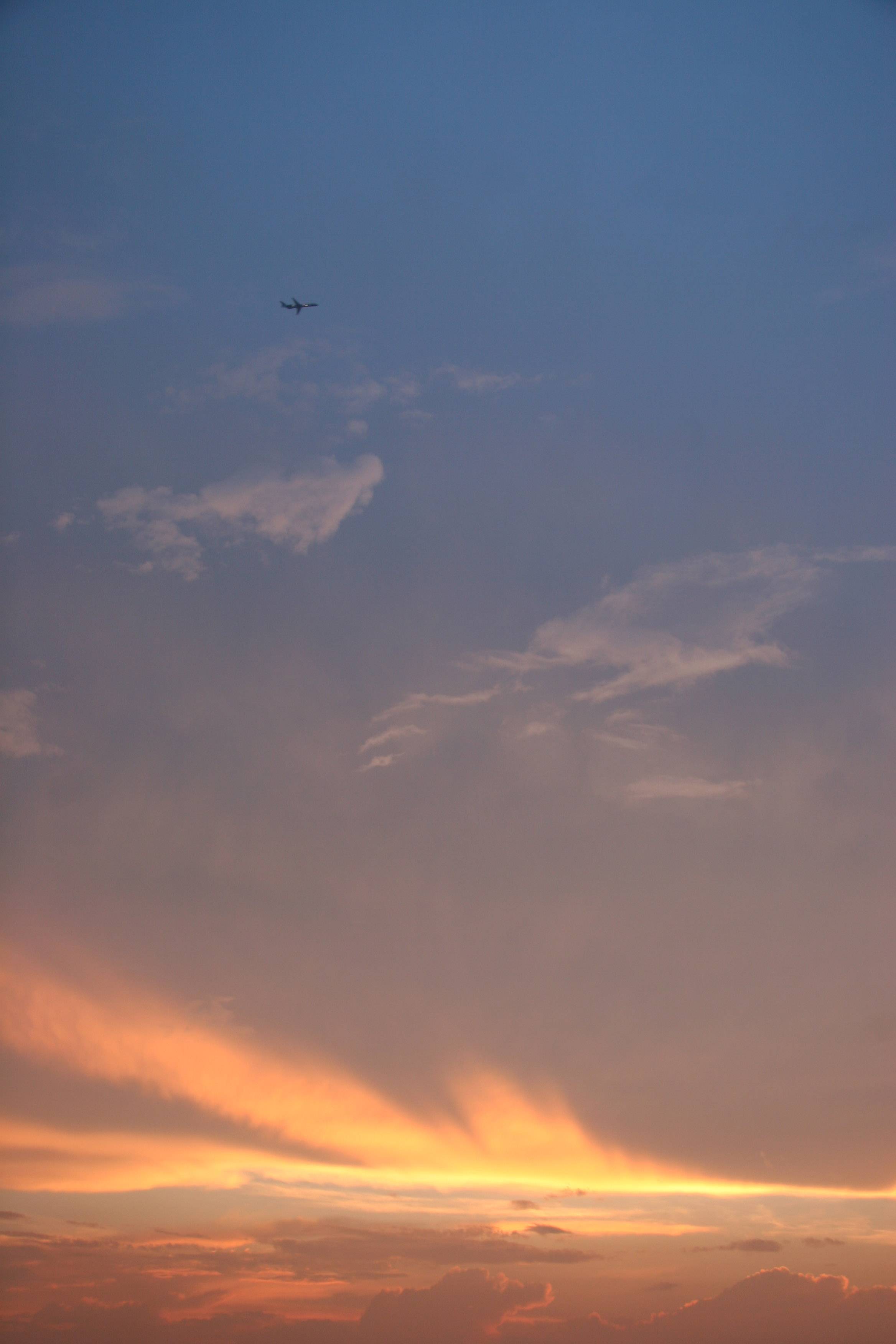 Sunset Flight