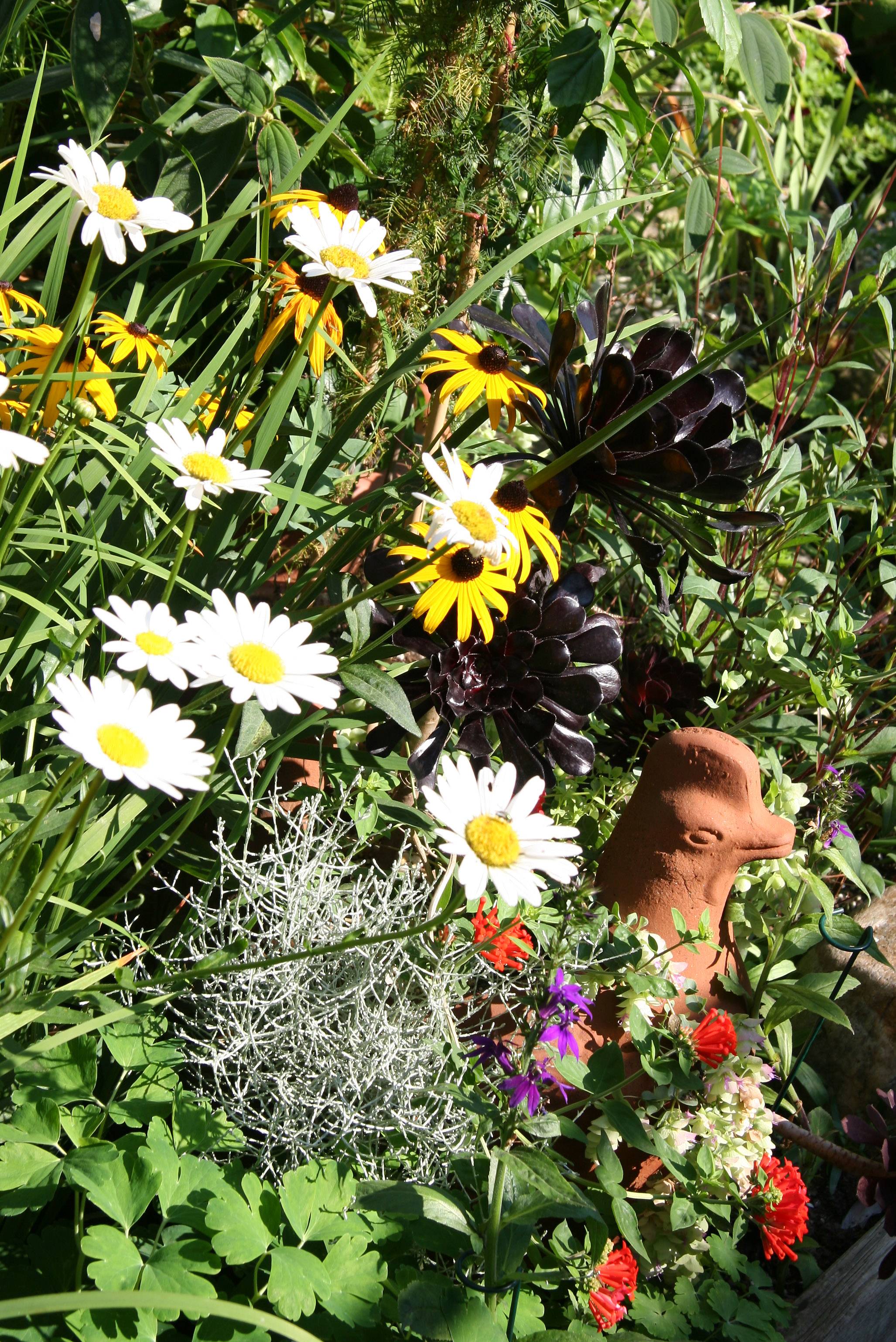 Garden Plot