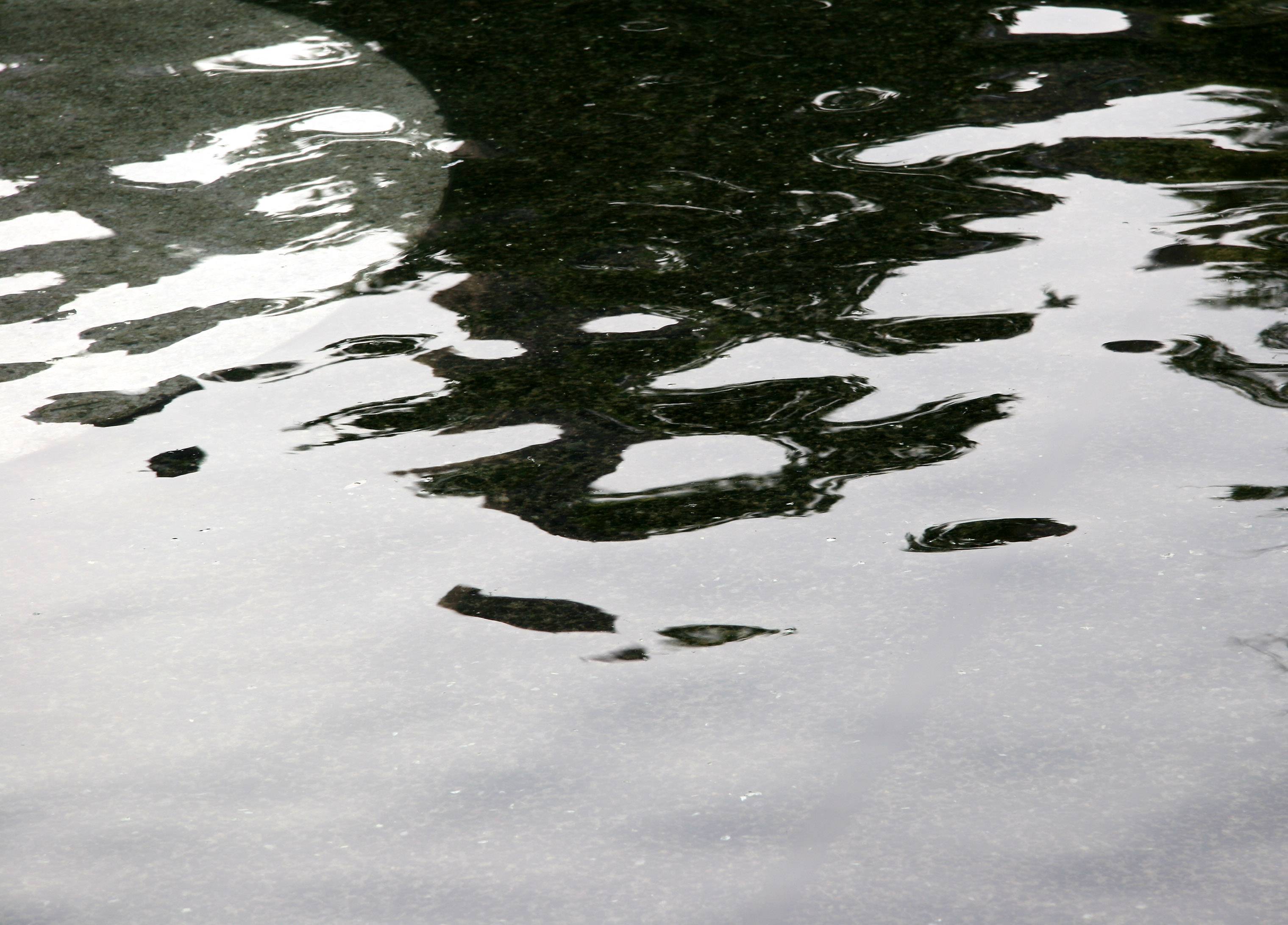 Fountain Pool Reflections