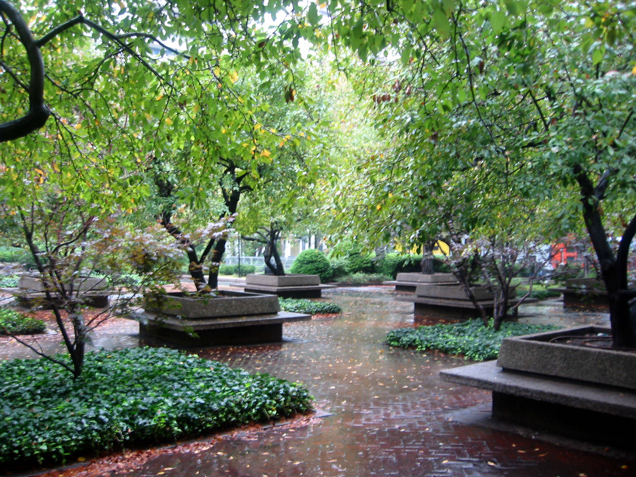 Garden View in the Rain