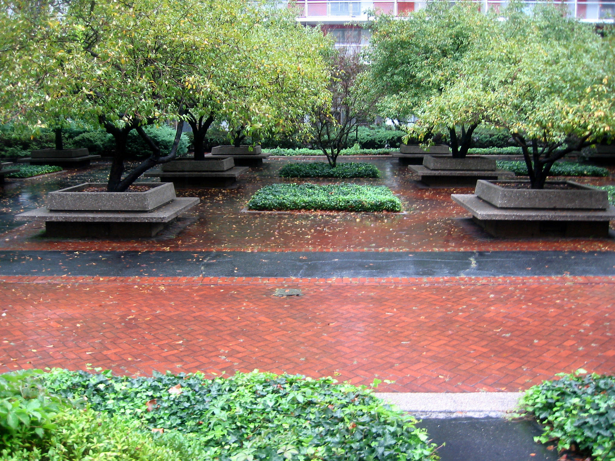 Garden View in the Rain