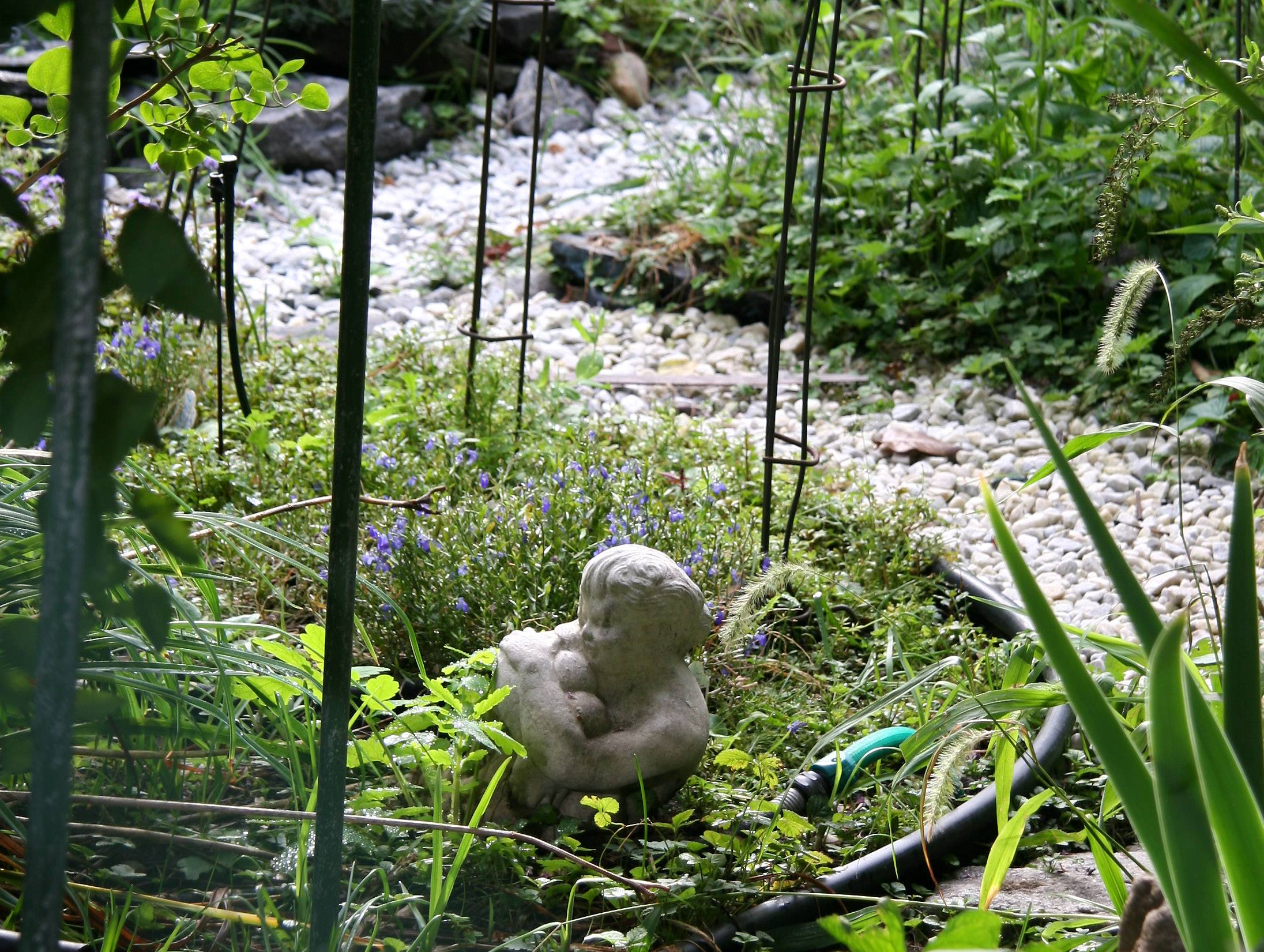 Garden Plot Path