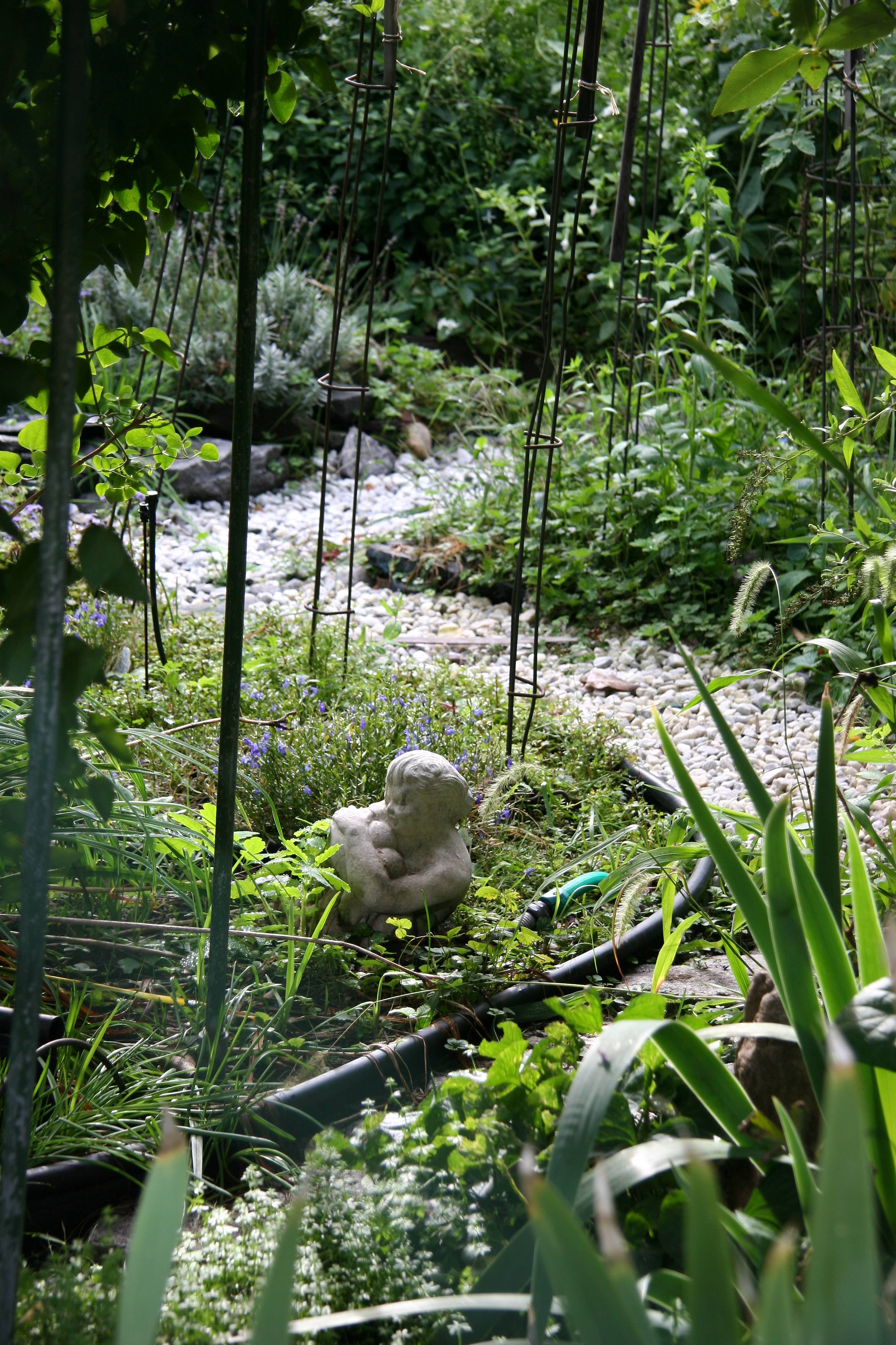 Garden Plot Path
