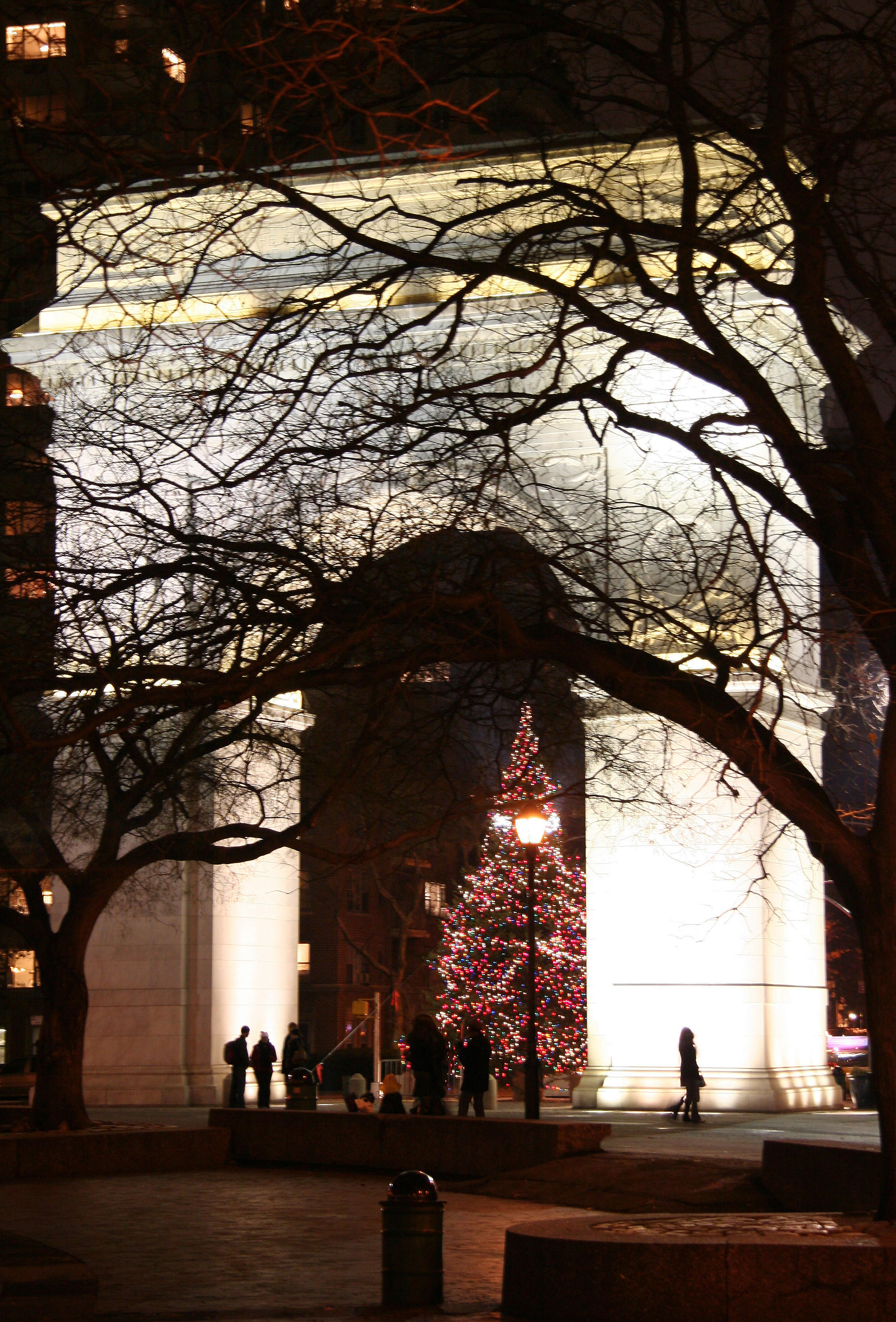 Christmas Tree at the Arch