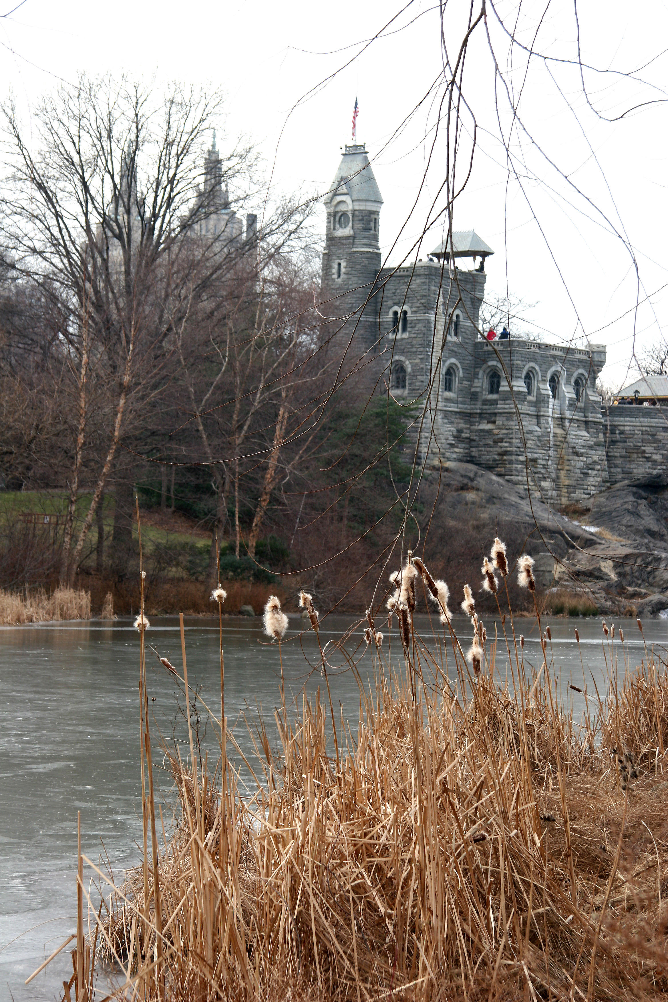 Cat Tails, Turtle Pond & Belvedere Castle
