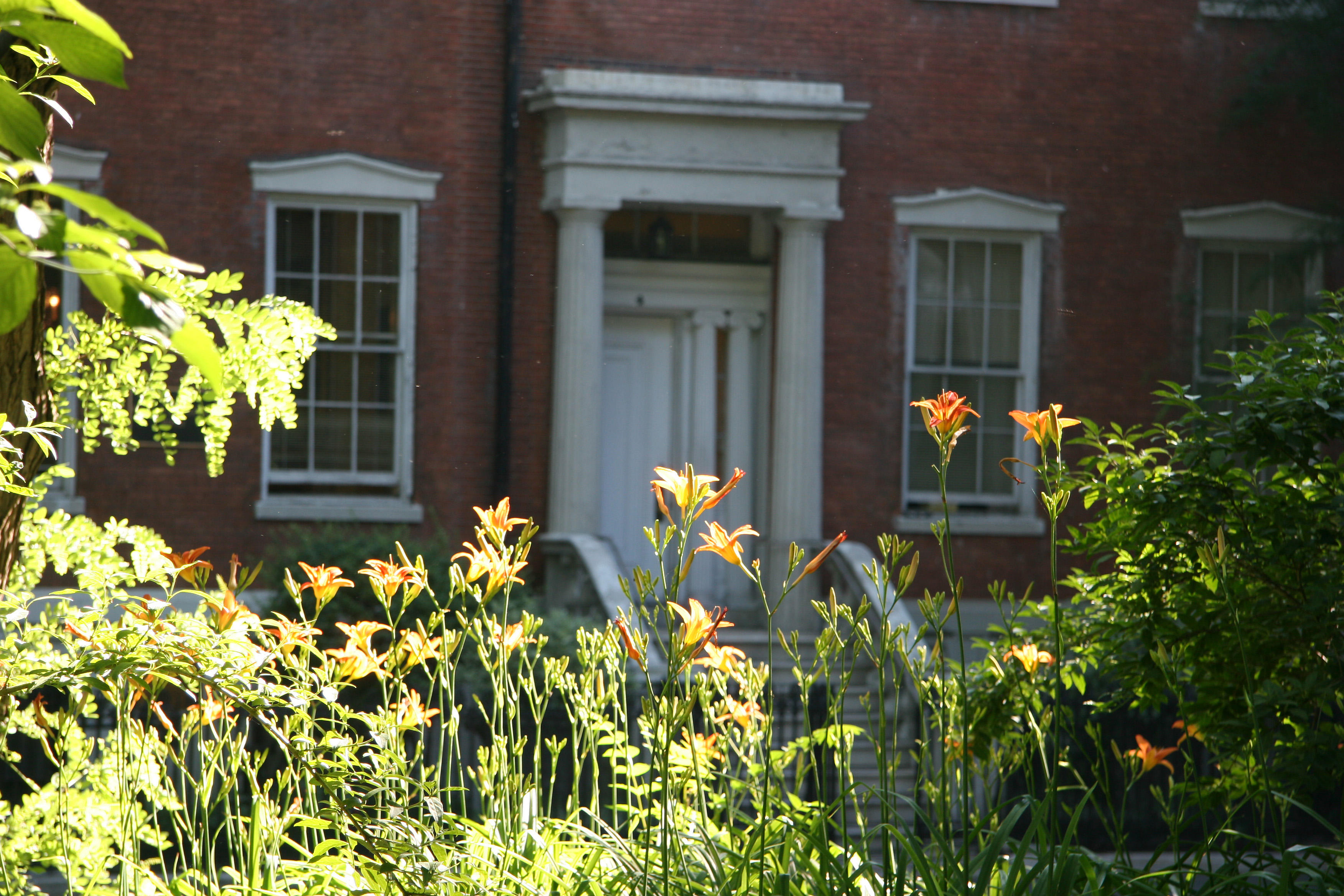 Day Lilies & Washington Square North