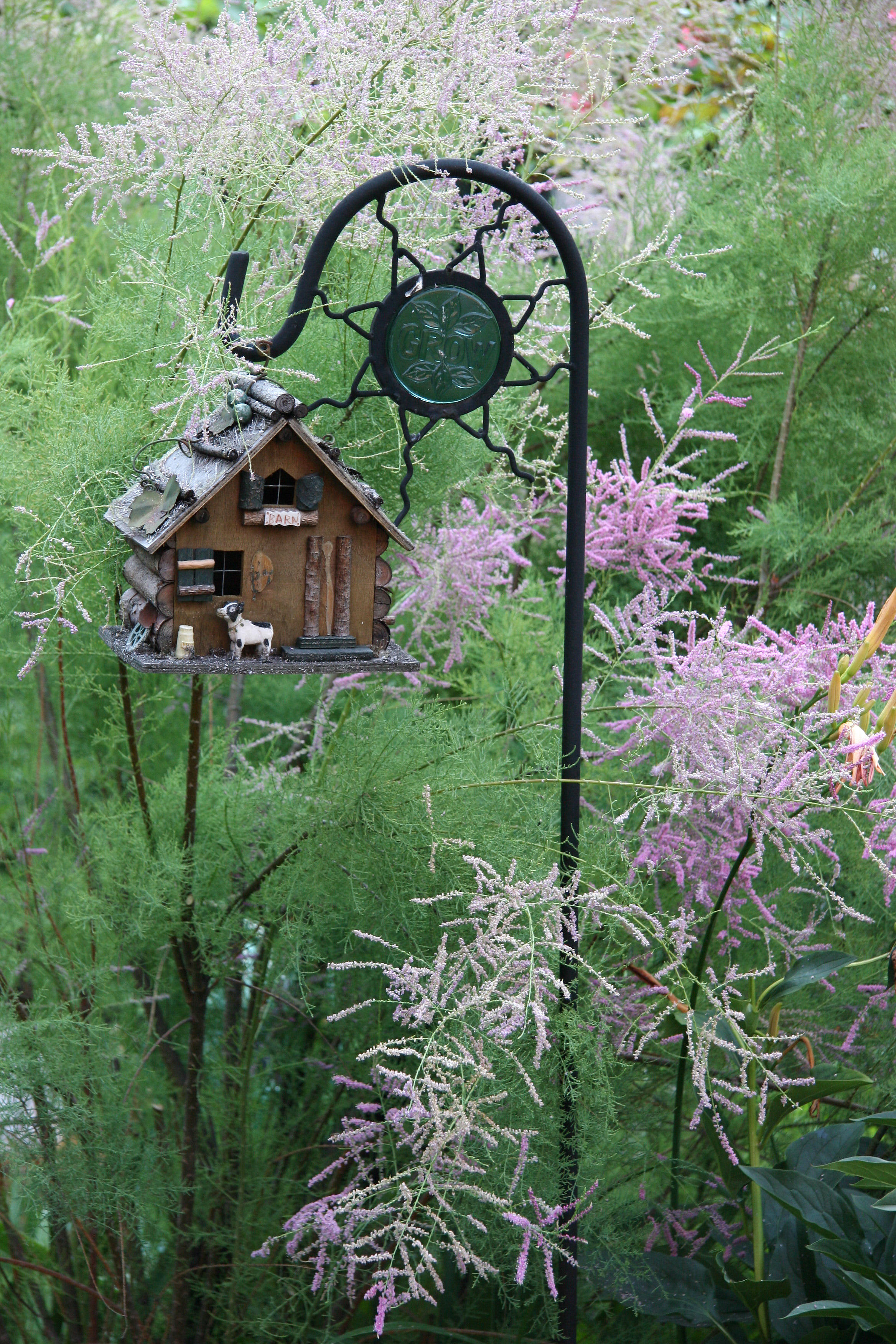 Garden View - Tamarisk Tree