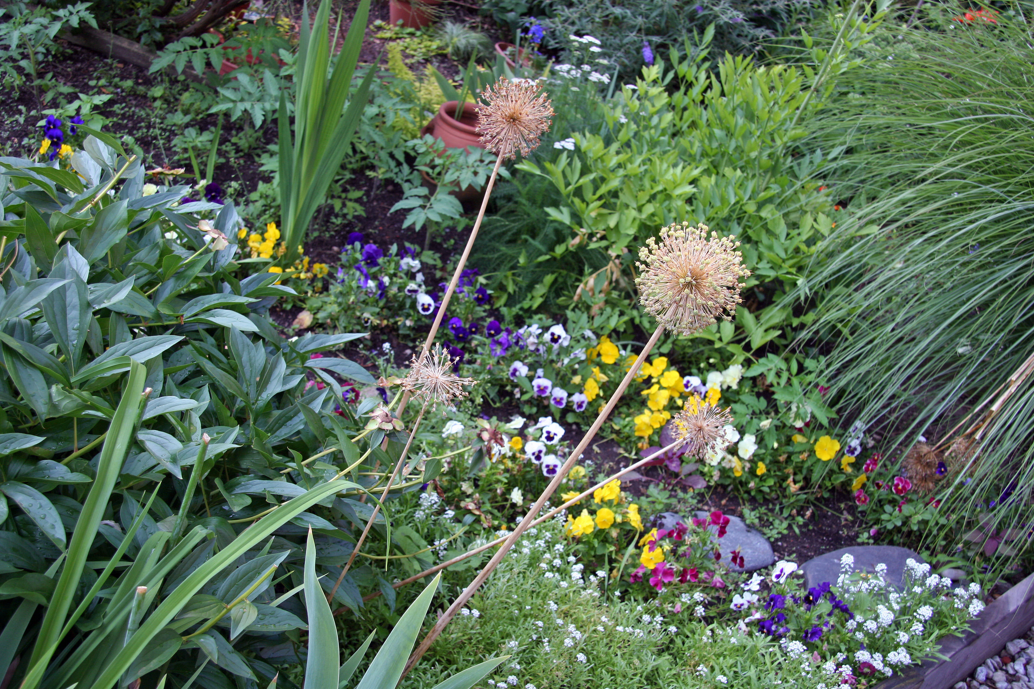 Garden Plot