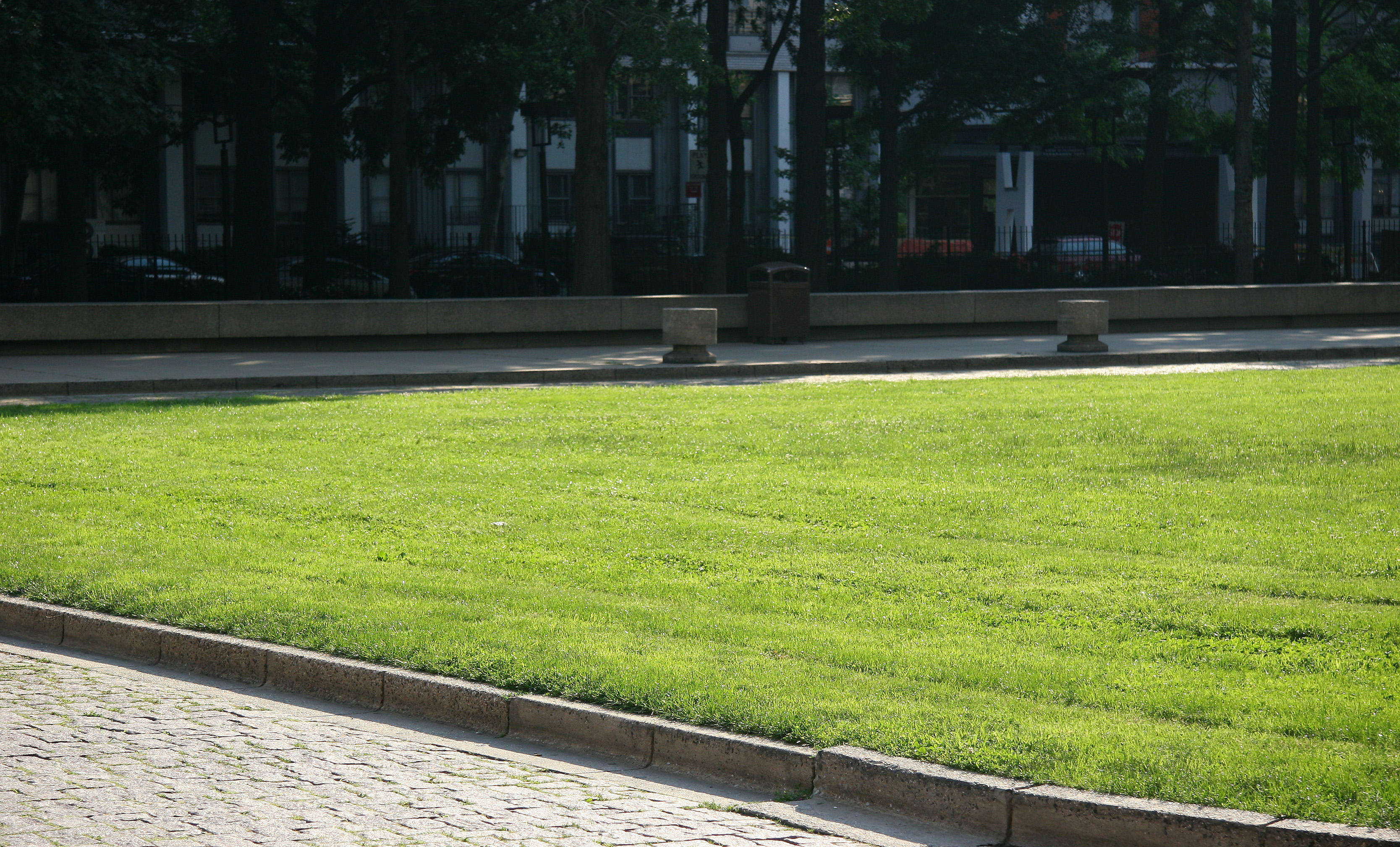 Lawn