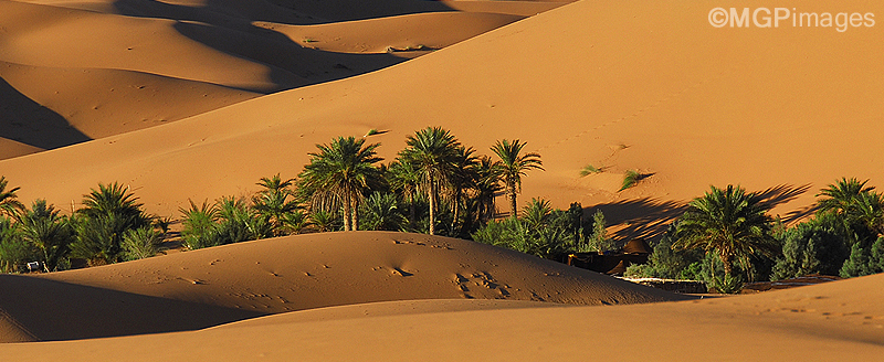 Erg Chebbi, Morocco