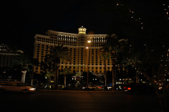 DSC_9221_web.jpg
