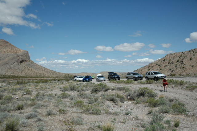 DSC_9341_web.jpg