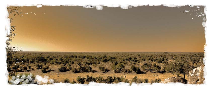 Views from Tsodilo Hills Kalahari Desert
