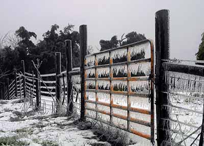 Ice and Fence;  Shenandoah Valley, VA