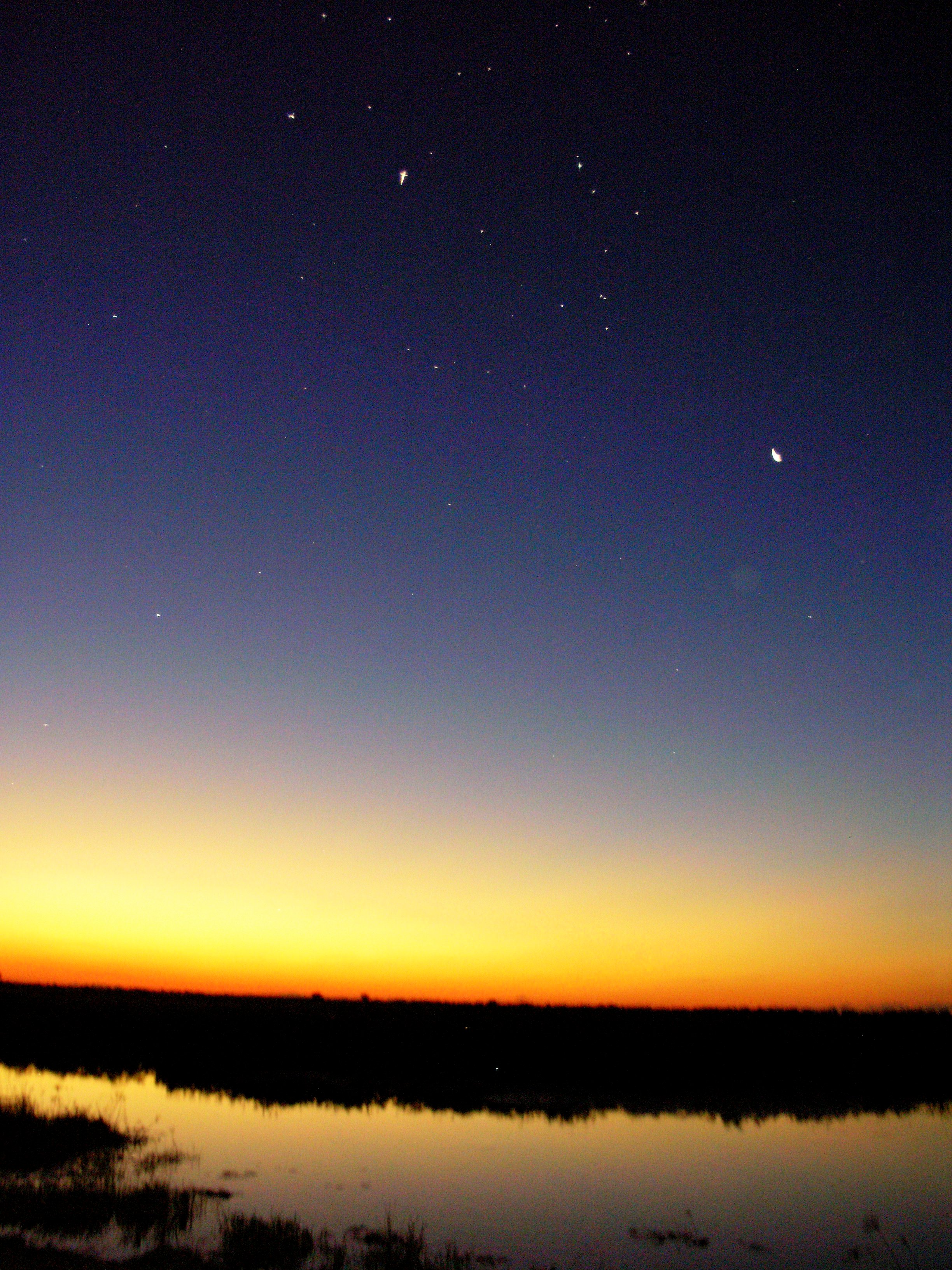 Starry, Starry Night