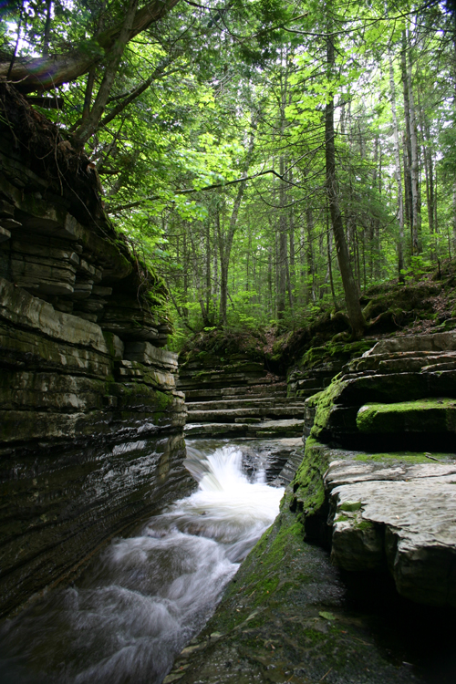 LANDSCAPE 2