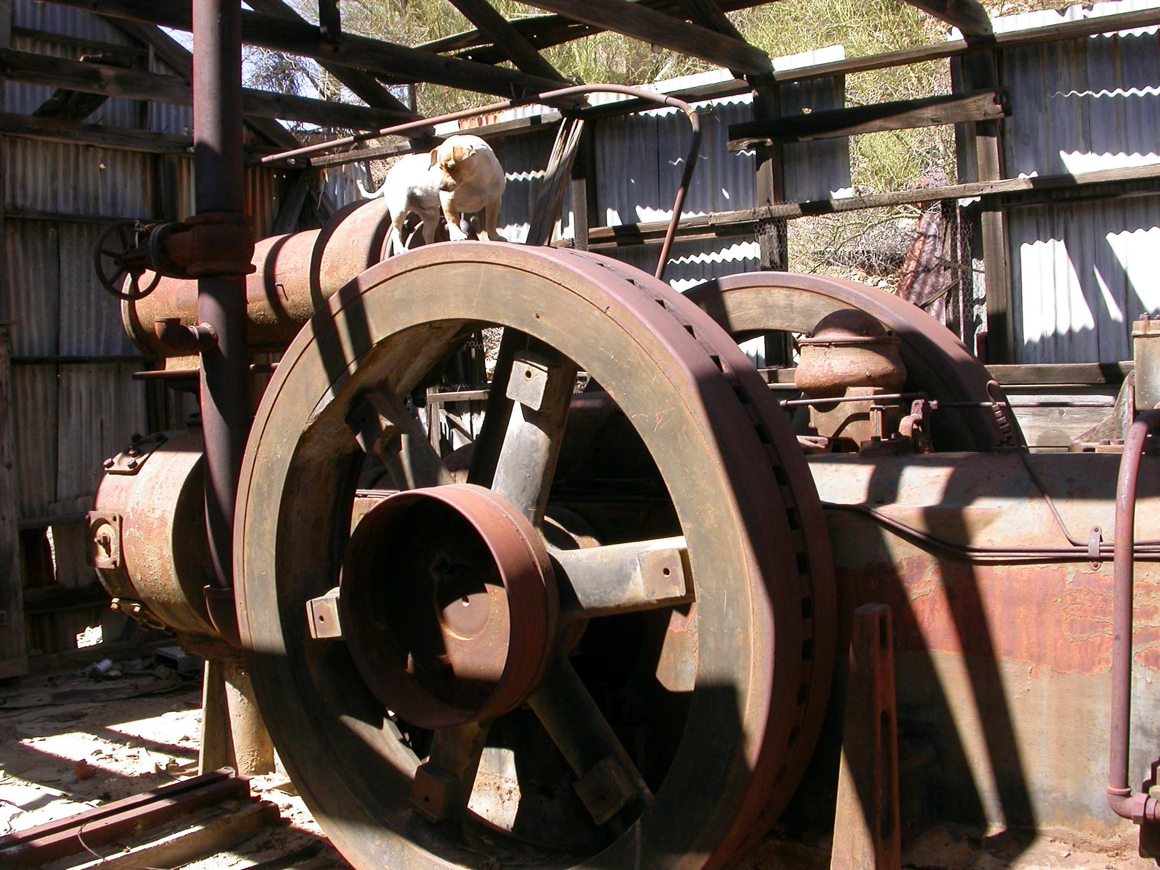 DSCN4516.JPG