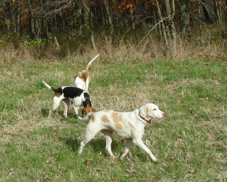 DSCN4808.JPG
