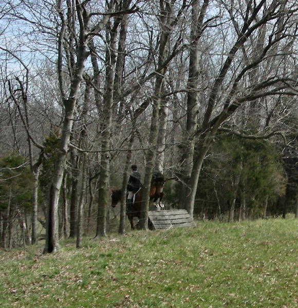 Downhill coop