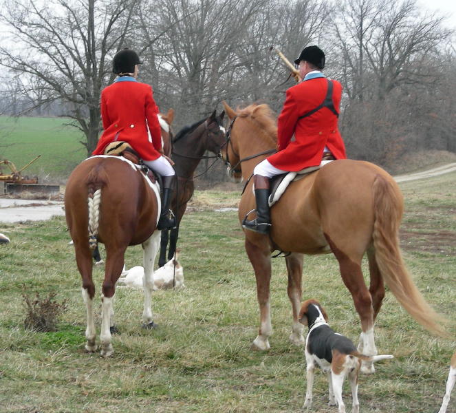 DSCN9530.JPG
