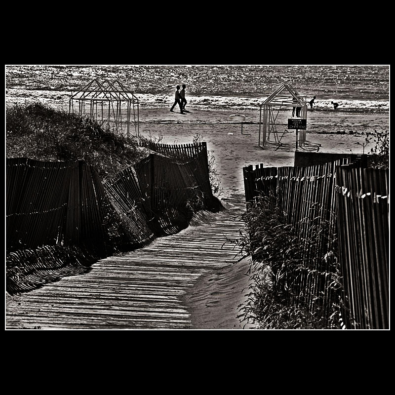 ... my walks ...