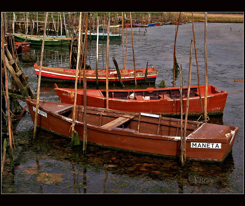 ...Old boats ...