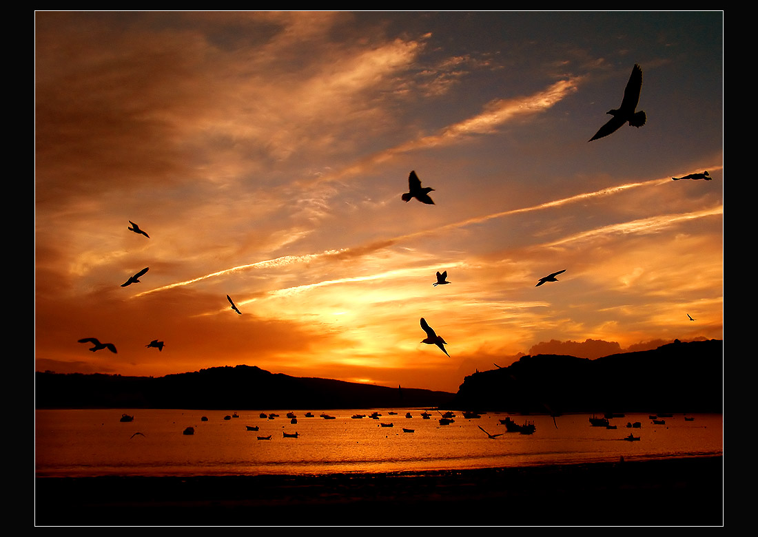 ...Flying ...