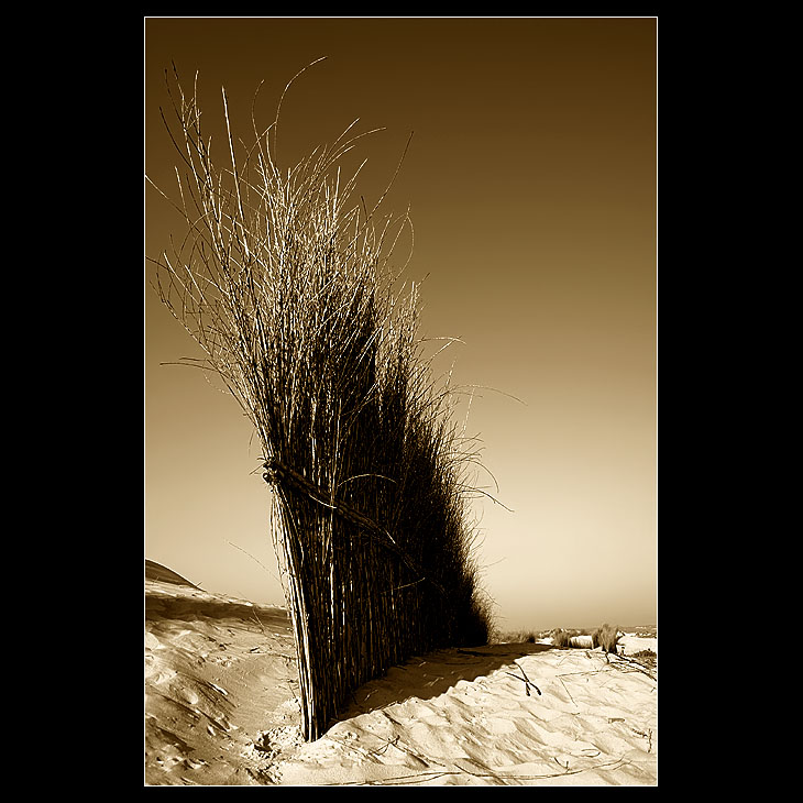 ... Fence ... I