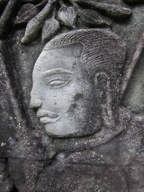 Greek nose  cambodian