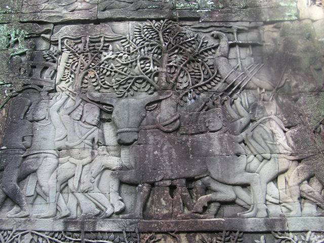 Bayon - bull