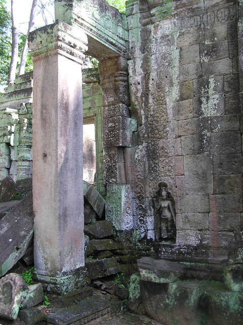 Ta Prohm Jungle temple