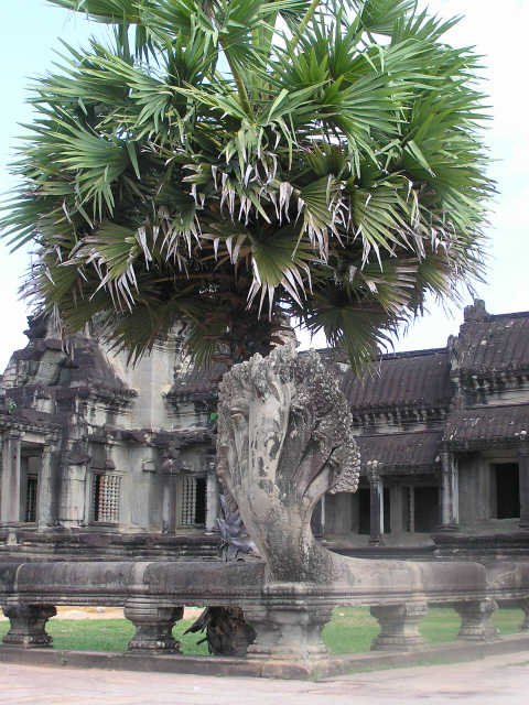 Angkor Vat
