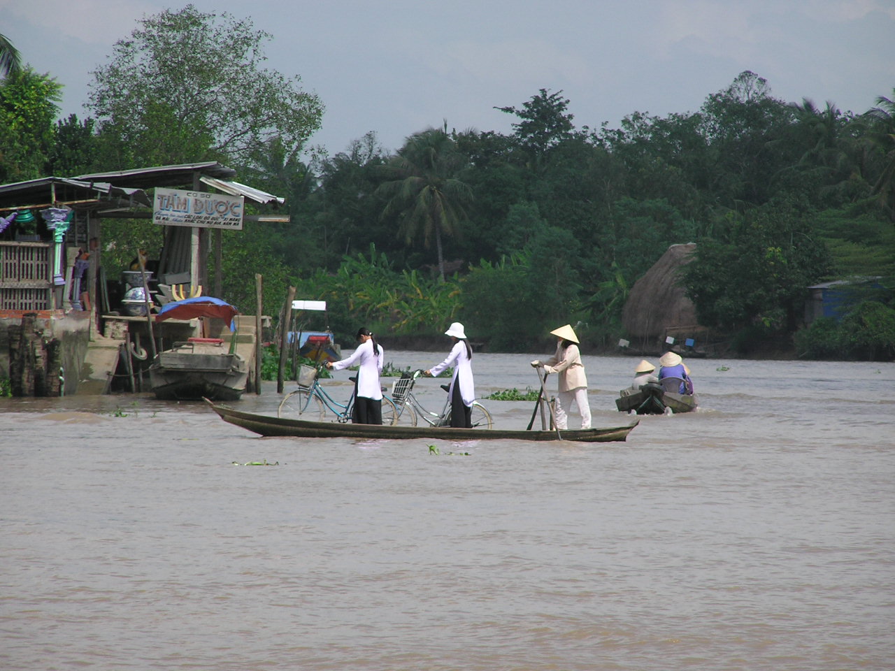 Mekong Delta - <a href=http://www.pbase.com/pierbase/image/53744143>read text</a>