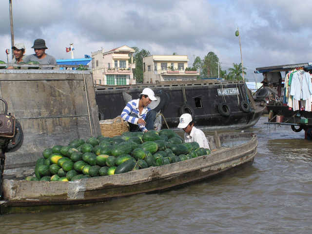 Mekong Delta