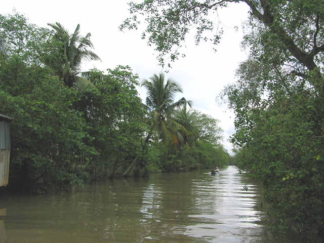 Mekong delta