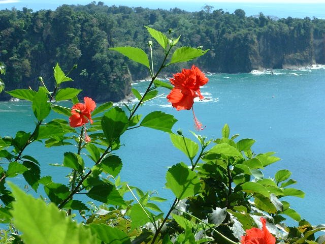 Manuel Antonio