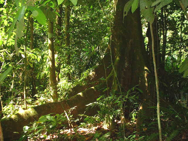 Costa Rica