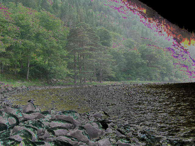 Killarney Nat. Park