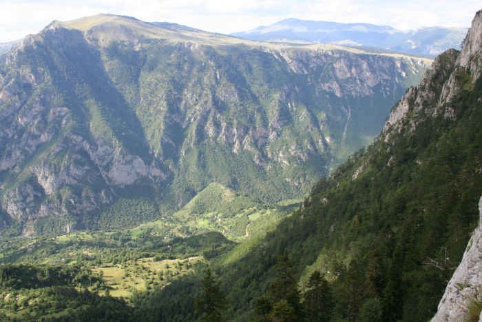 Curevac 