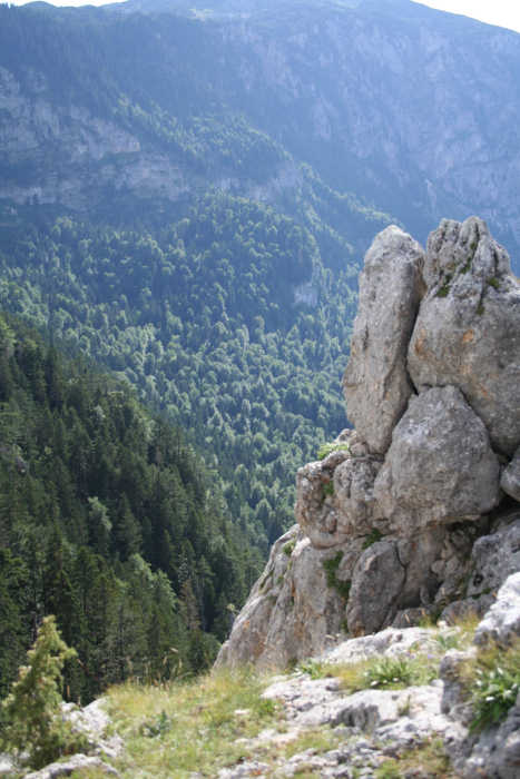 Curevac viewpoint 