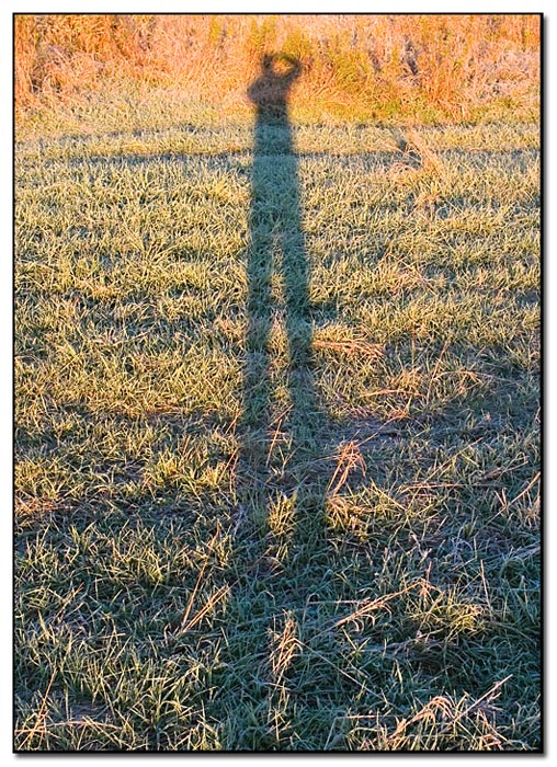 shadow_01.jpg