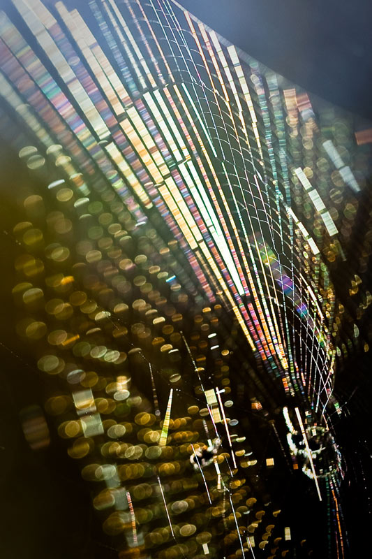 Abstract web