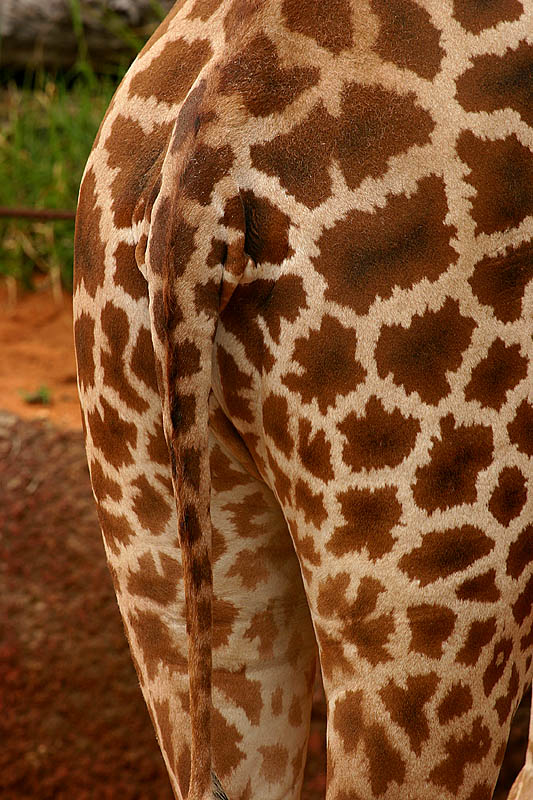 January 24. Does my bum look big in this?