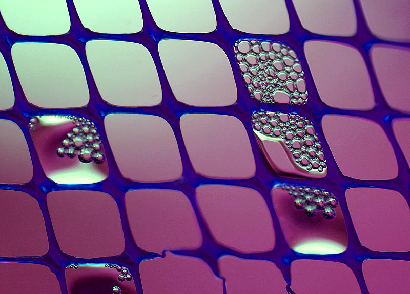 Bubble net