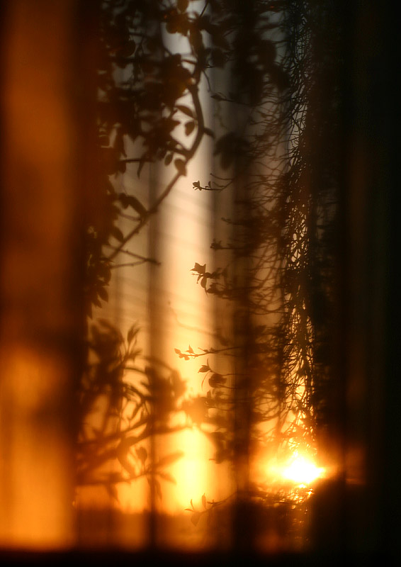 July 12. Sun arise