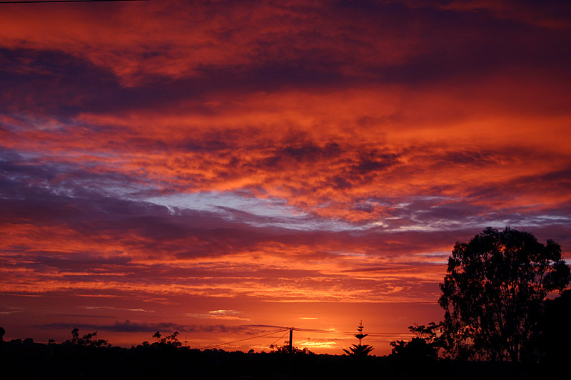 August 5. Red in the morning