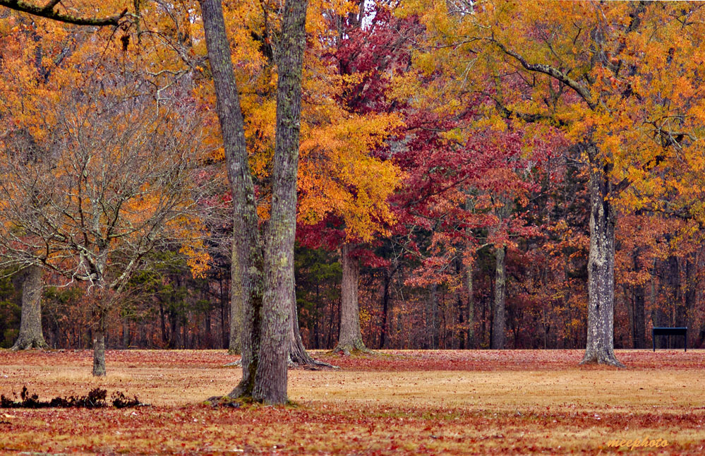 Late November