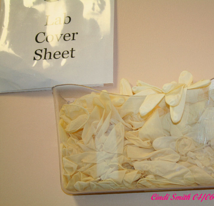 THE RUBBER GLOVES