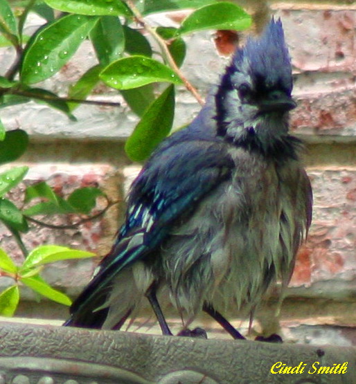 I JUST TOOK A BATH....GO AWAY UNTIL I CAN GET MYSELF TOGETHER